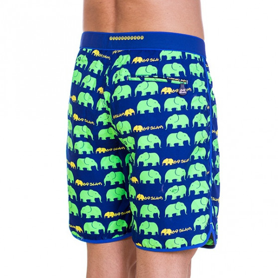 Meeste ujumisriided 69SLAM Short Boardshortid Medium Elephant Green