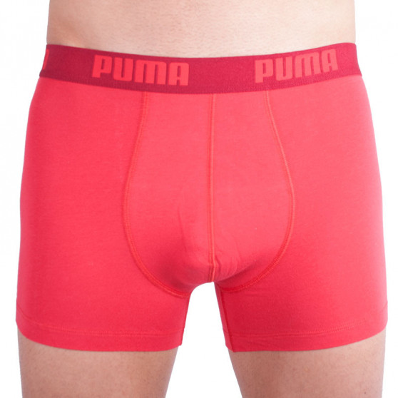 2PACK meeste bokserid Puma mitmevärviline (521015001 072)