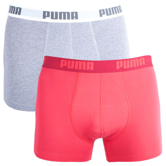 2PACK meeste bokserid Puma mitmevärviline (521015001 072)