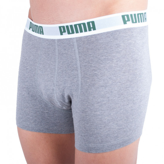 2PACK meeste bokserid Puma mitmevärviline (521015001 075)