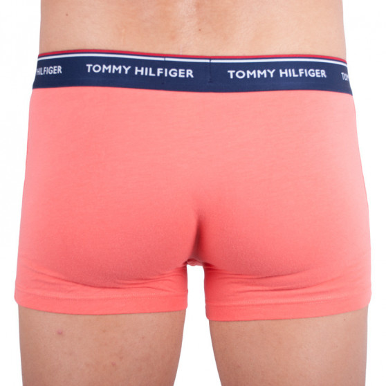 3PACK meeste bokserid Tommy Hilfiger mitmevärviline (1U87903842 424)