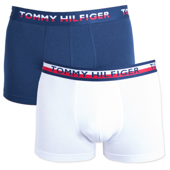 2PACK meeste bokserid Tommy Hilfiger mitmevärviline (UM0UM00746 222)