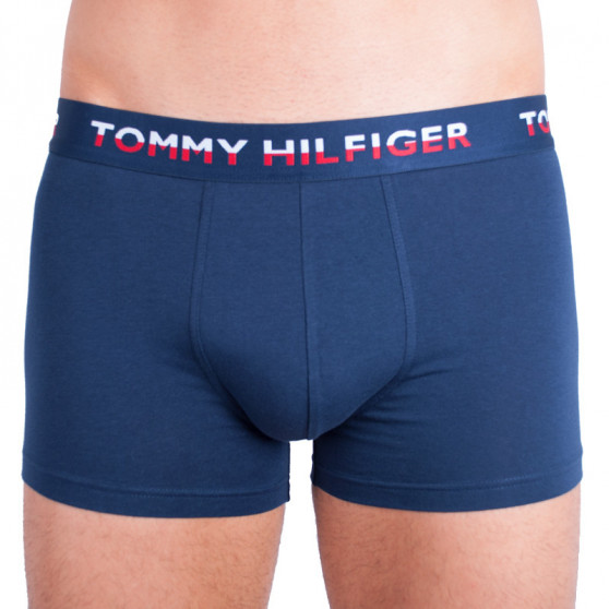 2PACK meeste bokserid Tommy Hilfiger mitmevärviline (UM0UM00746 222)