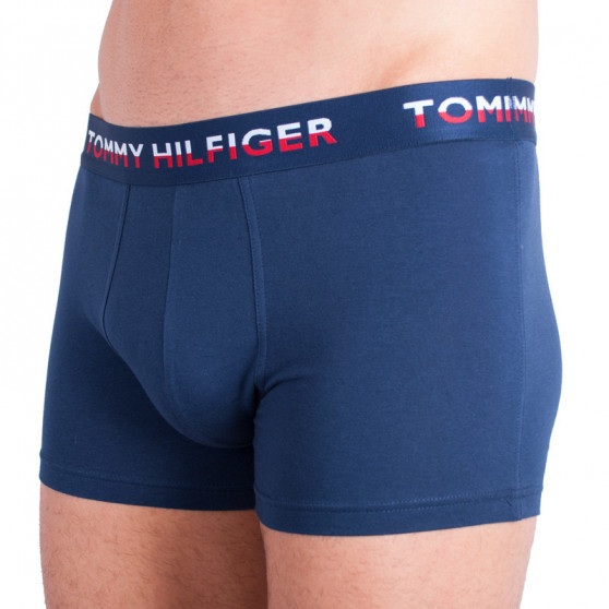 2PACK meeste bokserid Tommy Hilfiger mitmevärviline (UM0UM00746 222)