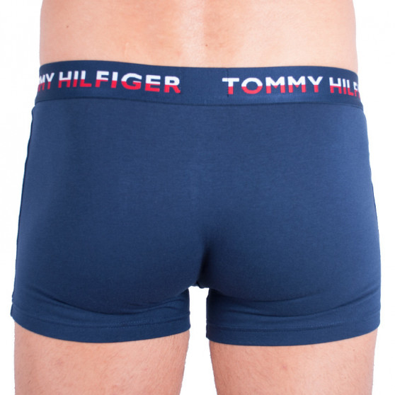 2PACK meeste bokserid Tommy Hilfiger mitmevärviline (UM0UM00746 222)