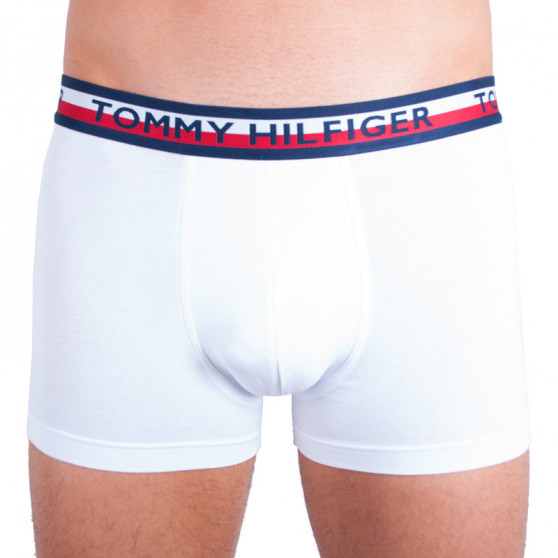 2PACK meeste bokserid Tommy Hilfiger mitmevärviline (UM0UM00746 222)