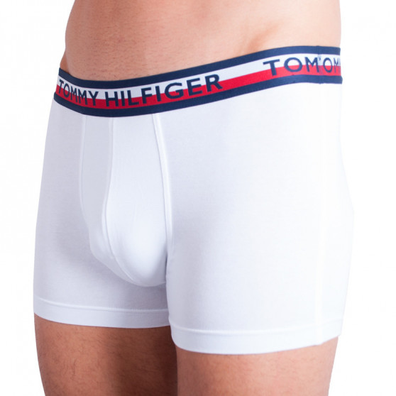 2PACK meeste bokserid Tommy Hilfiger mitmevärviline (UM0UM00746 222)