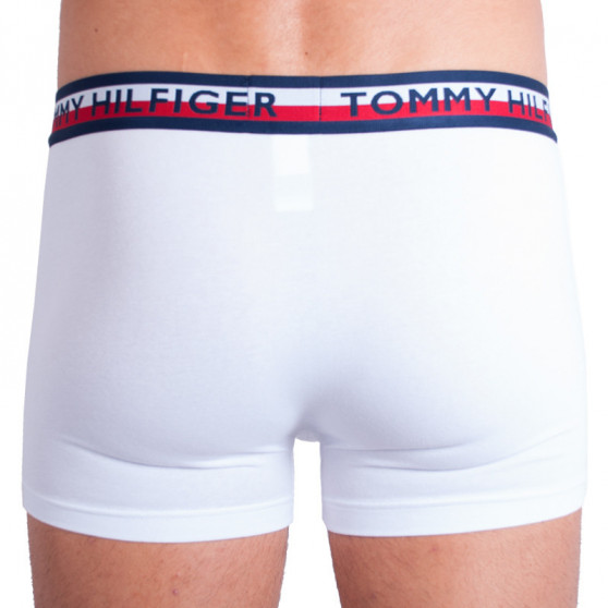 2PACK meeste bokserid Tommy Hilfiger mitmevärviline (UM0UM00746 222)