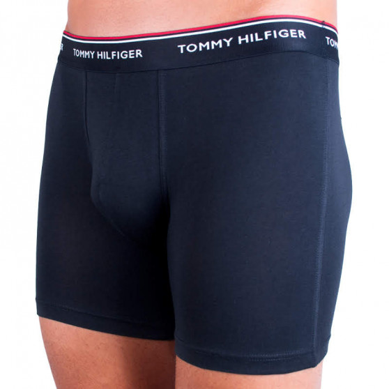 3PACK meeste bokserid Tommy Hilfiger mitmevärviline (UM0UM00010 004)