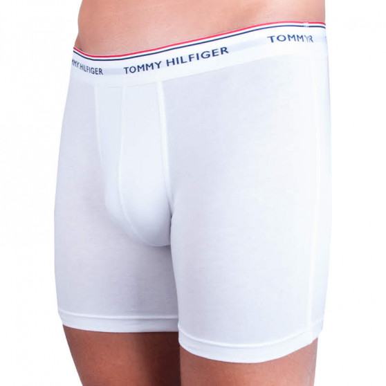 3PACK meeste bokserid Tommy Hilfiger mitmevärviline (UM0UM00010 004)