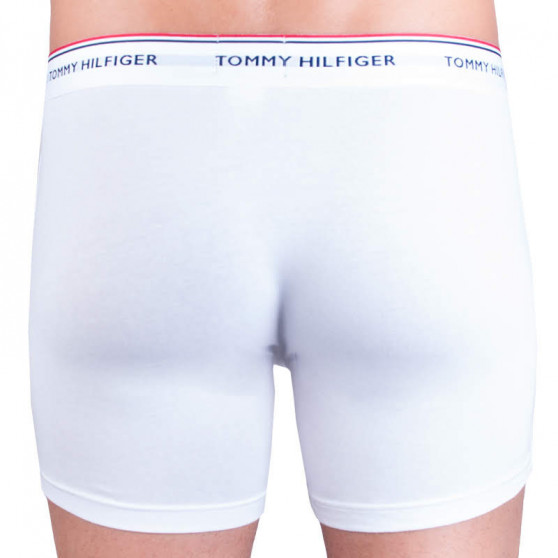 3PACK meeste bokserid Tommy Hilfiger mitmevärviline (UM0UM00010 004)