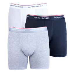 3PACK meeste bokserid Tommy Hilfiger mitmevärviline (UM0UM00010 004)