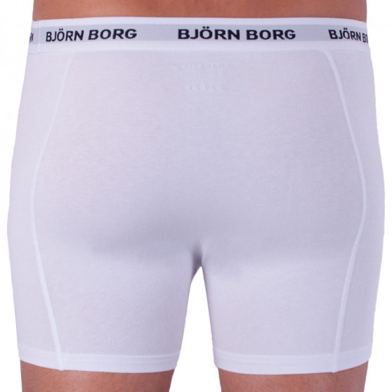 5PACK meeste bokserid Bjorn Borg mitmevärviline (9999-1026-90011)