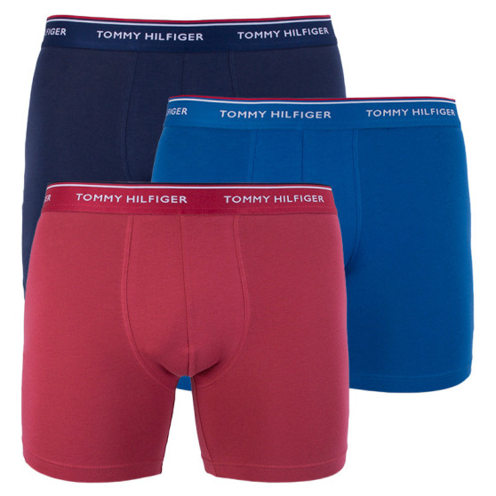 3PACK meeste bokserid Tommy Hilfiger mitmevärviline (UM0UM00010 071)