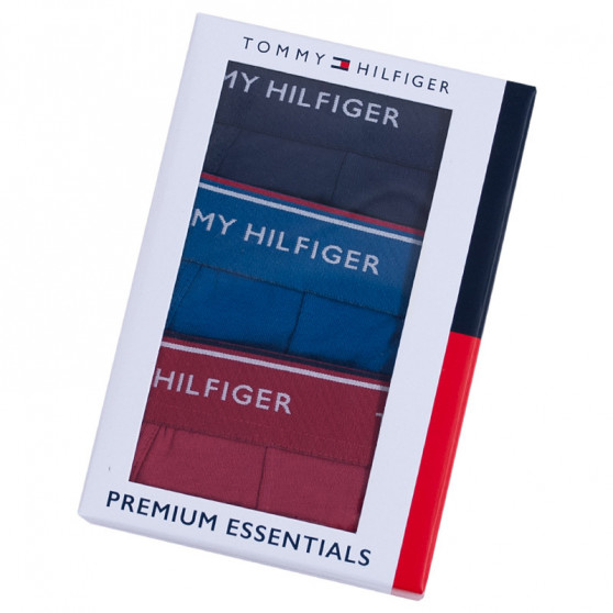 3PACK meeste bokserid Tommy Hilfiger mitmevärviline (UM0UM00010 071)