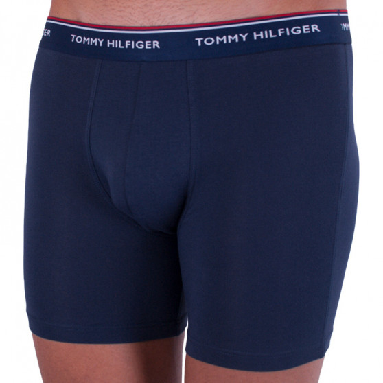 3PACK meeste bokserid Tommy Hilfiger mitmevärviline (UM0UM00010 071)