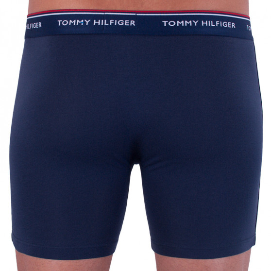 3PACK meeste bokserid Tommy Hilfiger mitmevärviline (UM0UM00010 071)