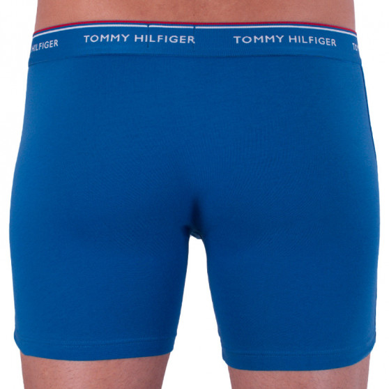 3PACK meeste bokserid Tommy Hilfiger mitmevärviline (UM0UM00010 071)