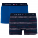 2PACK meeste bokserid Tommy Hilfiger mitmevärviline (UM0UM00945 047)