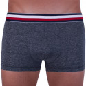 Meeste bokserid Tommy Hilfiger hall (UM0UM00899 091)