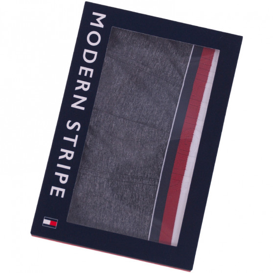 Meeste bokserid Tommy Hilfiger hall (UM0UM00899 091)