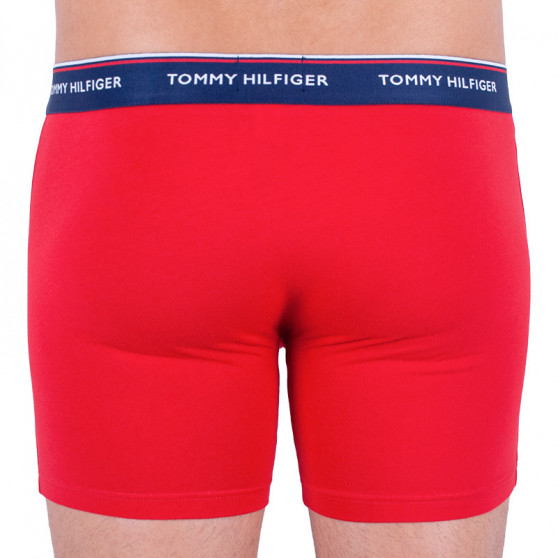 3PACK meeste bokserid Tommy Hilfiger mitmevärviline (UM0UM00010 052)