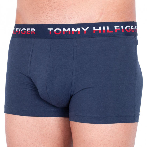 2PACK meeste bokserid Tommy Hilfiger mitmevärviline (UM0UM00746 006)