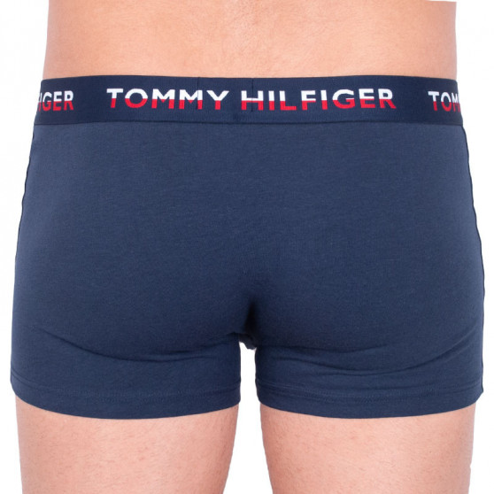 2PACK meeste bokserid Tommy Hilfiger mitmevärviline (UM0UM00746 006)