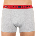 Meeste bokserid Tommy Hilfiger hall (UM0UM01367 004)