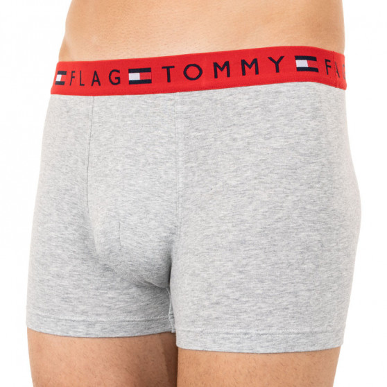 Meeste bokserid Tommy Hilfiger hall (UM0UM01367 004)