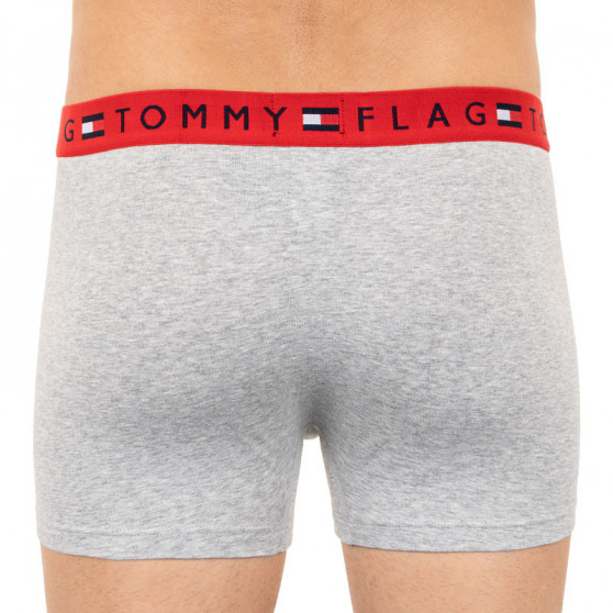 Meeste bokserid Tommy Hilfiger hall (UM0UM01367 004)