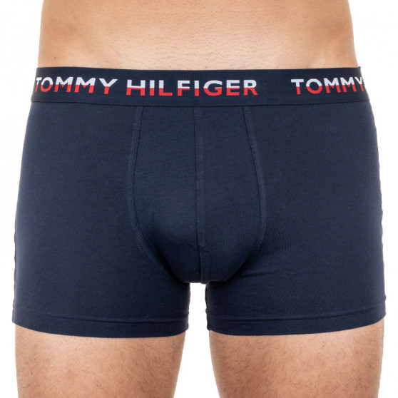 2PACK meeste bokserid Tommy Hilfiger mitmevärviline (UM0UM01233 088)