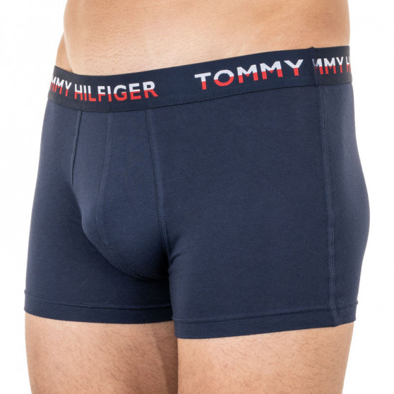 2PACK meeste bokserid Tommy Hilfiger mitmevärviline (UM0UM01233 088)