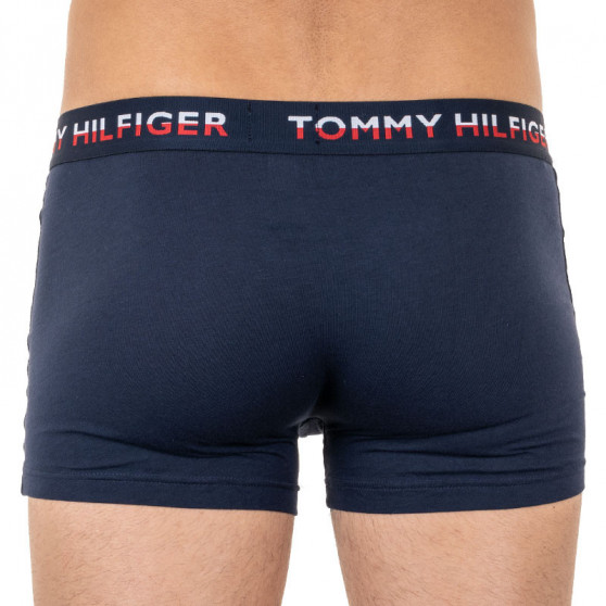 2PACK meeste bokserid Tommy Hilfiger mitmevärviline (UM0UM01233 088)