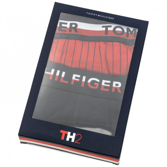 2PACK meeste bokserid Tommy Hilfiger mitmevärviline (UM0UM01233 088)