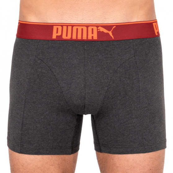 3PACK meeste bokserid Puma mitmevärviline (681030001 899)