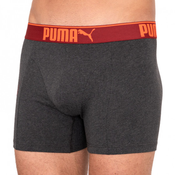 3PACK meeste bokserid Puma mitmevärviline (681030001 899)