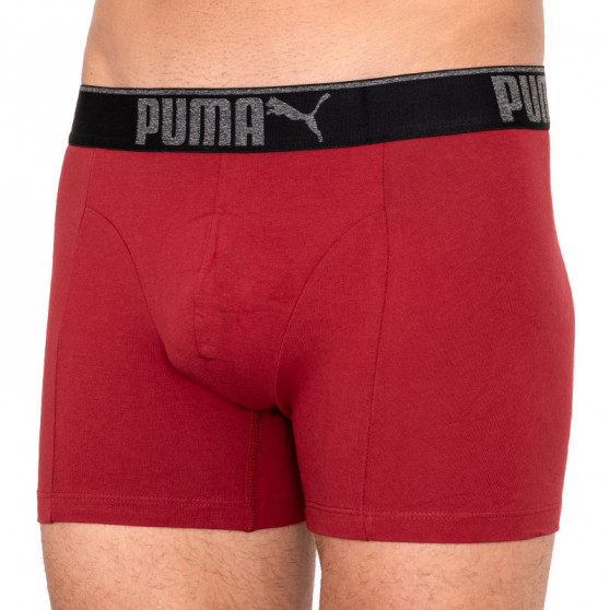 3PACK meeste bokserid Puma mitmevärviline (681030001 899)