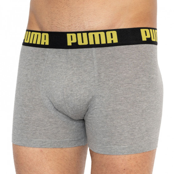 2PACK meeste bokserid Puma mitmevärviline (501009001 020)