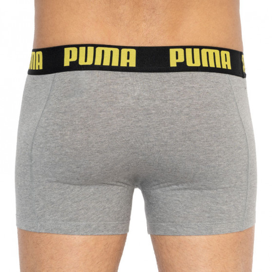 2PACK meeste bokserid Puma mitmevärviline (501009001 020)