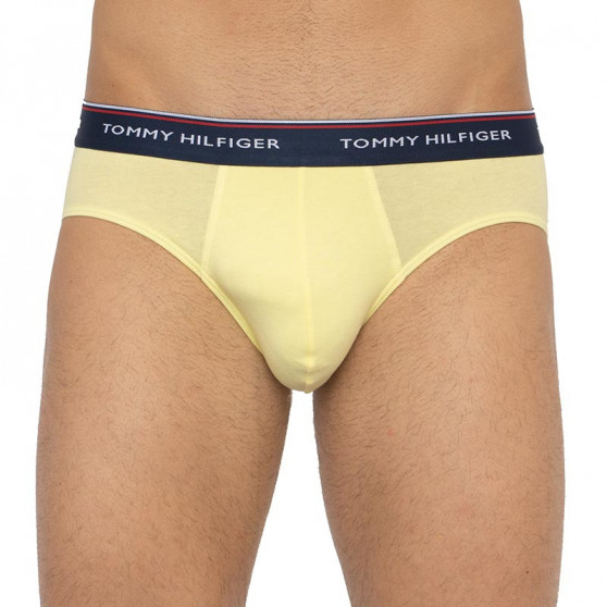 3PACK meeste aluspüksid Tommy Hilfiger mitmevärvilised (1U87903766 0RV)