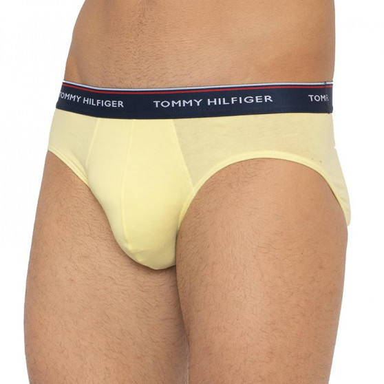 3PACK meeste aluspüksid Tommy Hilfiger mitmevärvilised (1U87903766 0RV)