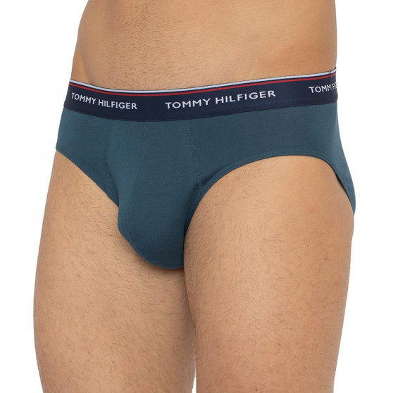 3PACK meeste aluspüksid Tommy Hilfiger mitmevärvilised (1U87903766 0RV)