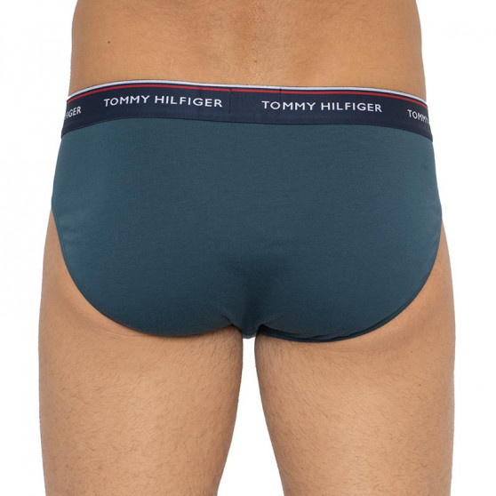 3PACK meeste aluspüksid Tommy Hilfiger mitmevärvilised (1U87903766 0RV)