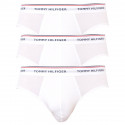 3PACK meeste aluspüksid Tommy Hilfiger valge (1U87903766 100)