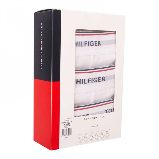 3PACK meeste aluspüksid Tommy Hilfiger valge (1U87903766 100)