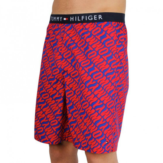 Meeste bokserid Tommy Hilfiger mitmevärviline (UM0UM01765 0NX)