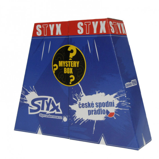 MYSTERY BOX - 5PACK naiste bokserid  sportlik elastne mitmevärviline Styx