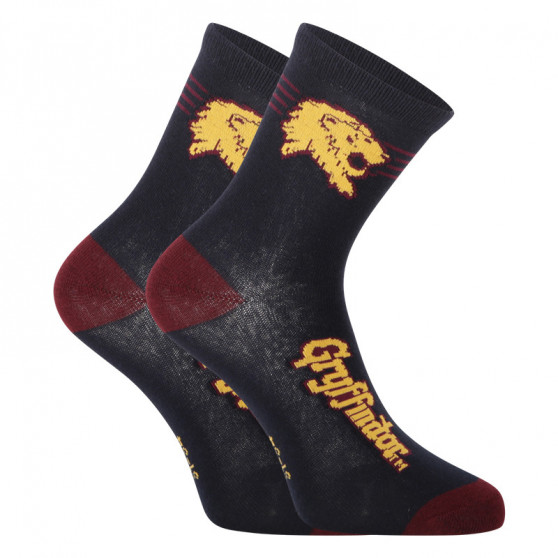 2PACK Laste sokid E plus M Harry Potter mitmevärvilised (GRYFFINDOR-A)