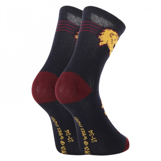 2PACK Laste sokid E plus M Harry Potter mitmevärvilised (GRYFFINDOR-A)